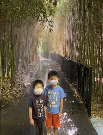 two young boys in bamboo forrest