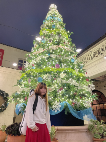 a young woman with a violin poses in front of a christmas tree.