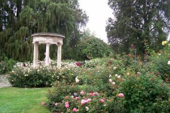 Music in the Rose Garden with Yi-Ju Lai